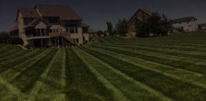 cedar valley lawn care services